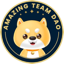 ateam icon