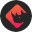 bnx icon