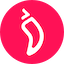 chz icon