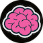 iq icon