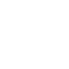 irl logo