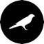 ksm icon
