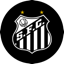 santos icon